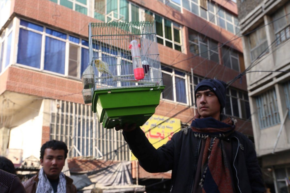 FOTO: AA/Pijaca u Kabulu